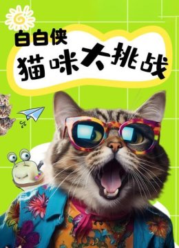 白白侠猫咪大挑战