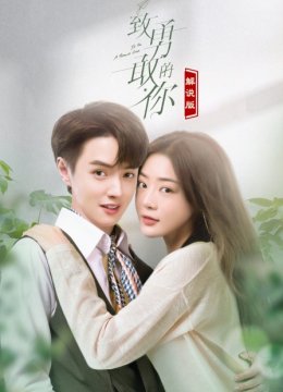 致勇敢的你解说版