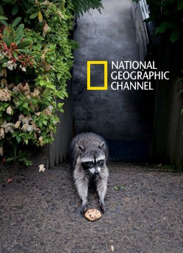 2016国家地理独家