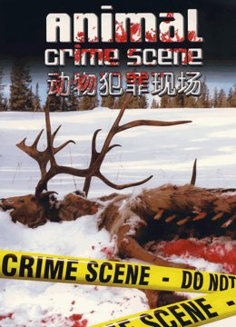 动物犯罪现场