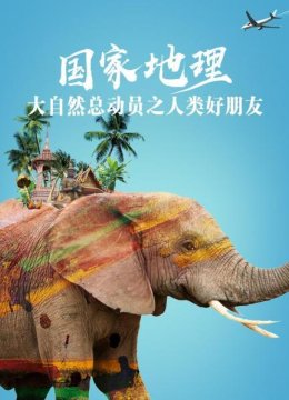 虎鲨，潜水者的“好朋友”？