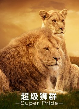 超级狮群