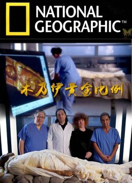 木乃伊黄金比例