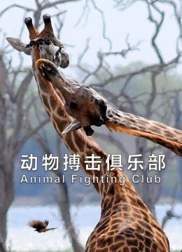 动物搏击俱乐部