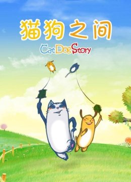 猫狗之间