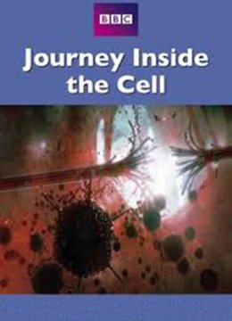 神秘旅行细胞内部之旅