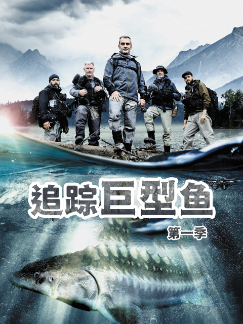 追踪巨型鱼第1季