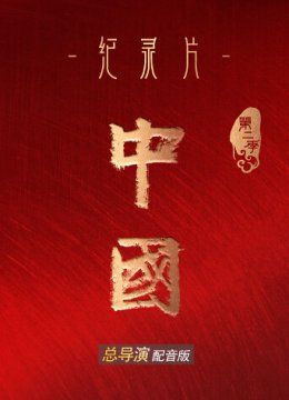 大陆第2季总导演配音版