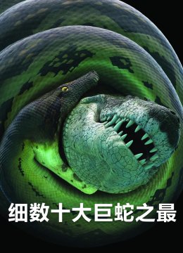细数十大巨蛇之最