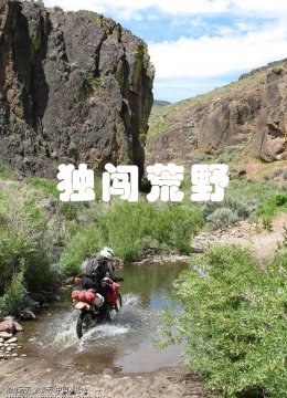 独闯荒野