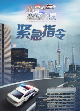 巡逻现场实录前传