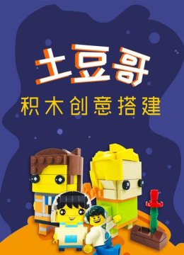 土豆哥积木创意搭建