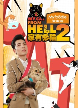家有恶猫第2季