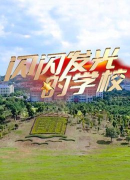 闪闪发光的学校