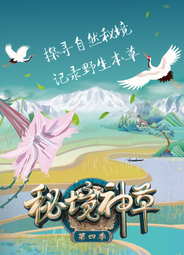 秘境神草第4季
