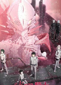 希德尼娅的骑士第9行星战役