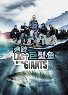 追踪巨型鱼