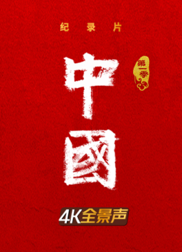 大陆总导演配音版