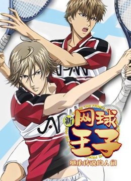 新网球王子继承传说的人们
