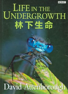 林下生命