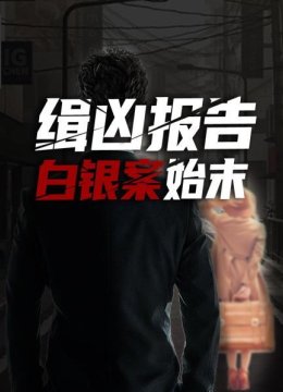 缉凶报告白银案始末