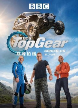 巅峰拍档第二十五季