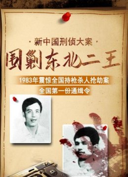 新大陆刑侦大案围剿东北二王