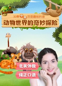 动物世界的奇妙探险