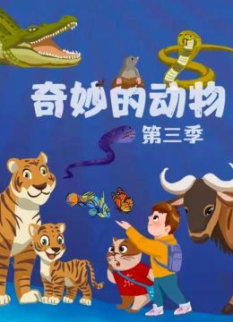 奇妙的动物第3季