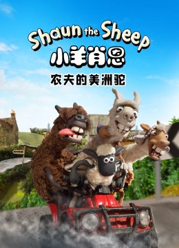 小羊肖恩农夫的美洲驼