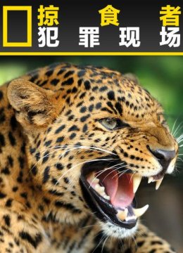 掠食者犯罪现场