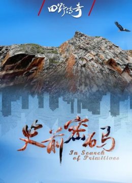 田野传奇史前密码