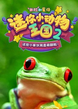 米拉和星仔迷你小动物王国2