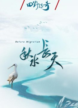 田野传奇秋水长天