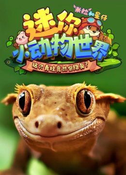 米拉和星仔迷你小动物世界