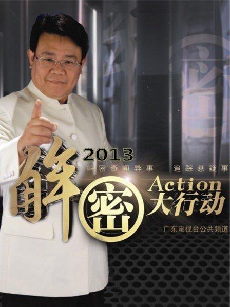 解密大行动2013