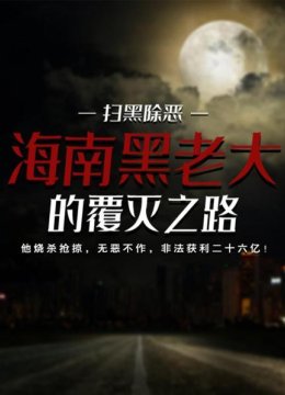 扫黑除恶海南黑老大的覆灭之路