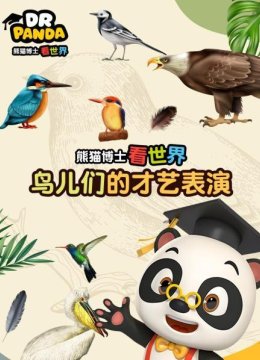 熊猫博士看世界鸟儿们的才艺表演