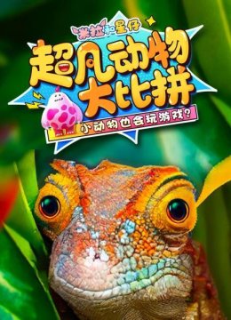 米拉和星仔超凡动物大比拼