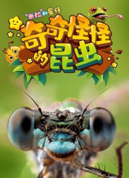 米拉和星仔奇奇怪怪的昆虫