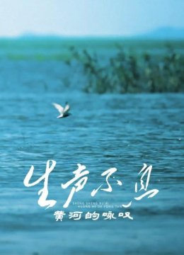 生声不息黄河的咏叹