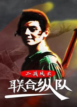 二战风云之联合纵队