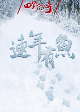 田野传奇连年有鱼