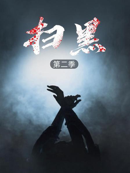 扫黑第2季