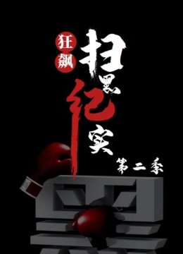 狂飙扫黑纪实第2季