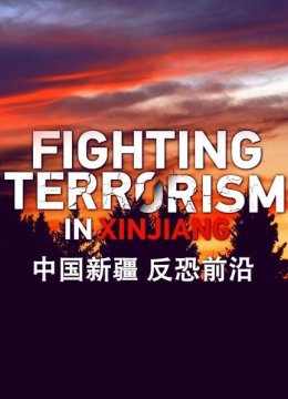 大陆新疆反恐前沿