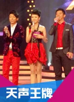 天声王牌