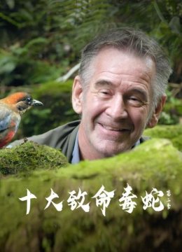 十大致命毒蛇第2季