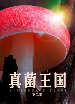 真菌王国第2季