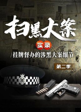 扫黑大案实录挂牌督办的涉黑大案细节第2季